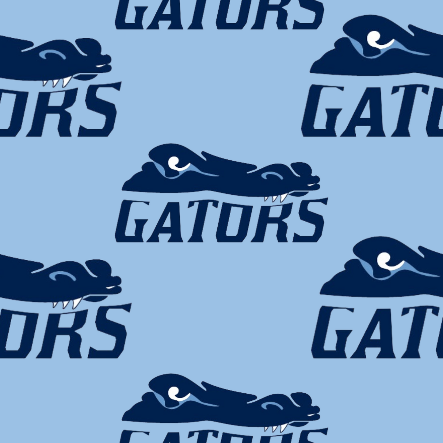 IL Gators Eva Slip-On Shoes