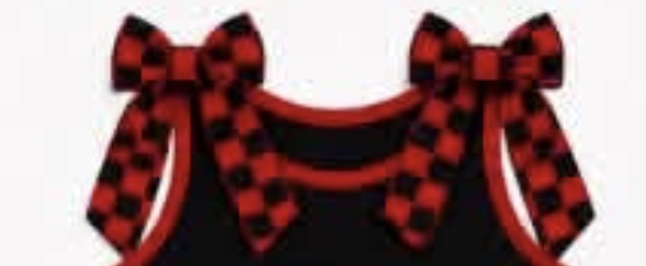 Special Order- Shae N -Bow Set