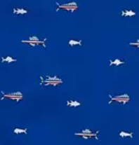 Boys Americana Fish Roper