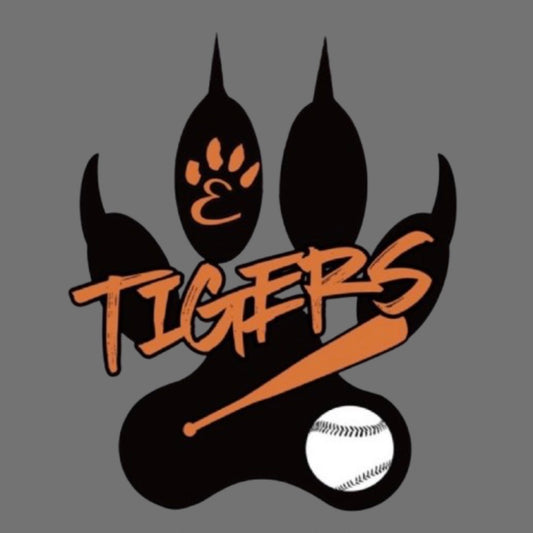 Special order - Amber P- Team Blanket