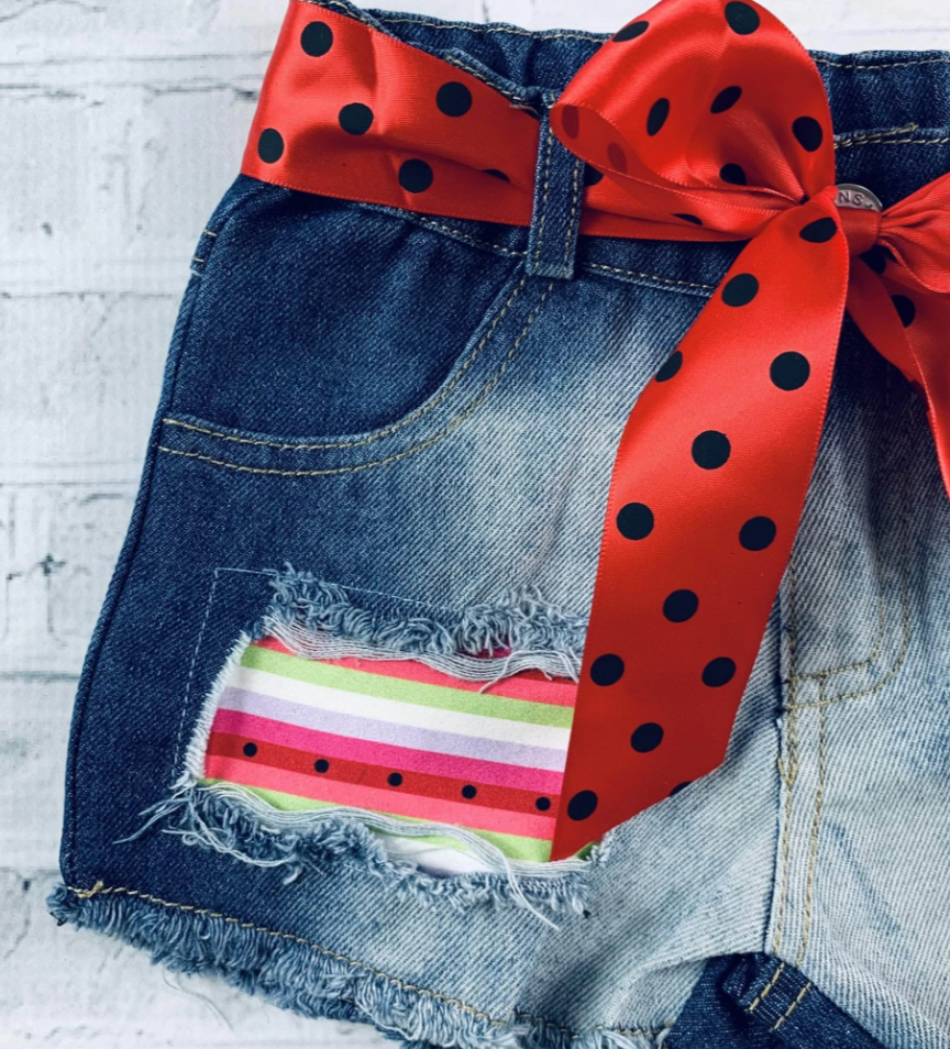 Sweet Watermelon Denim Shorts Set